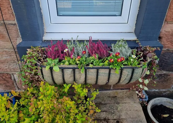 ca Lola Сasa de vacaciones *